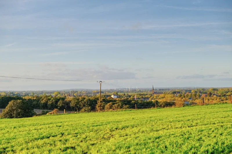 Sattgrünes Feld am Hang im Abendlicht, eine Stromleitung führt zu den Bäumen und Häusern am Horizont