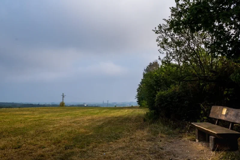 Gemähte Wiese unter bewölktem Himmel, rechts eine Holzbank im Schatten einer Hecke, in der Ferne ein Strommast