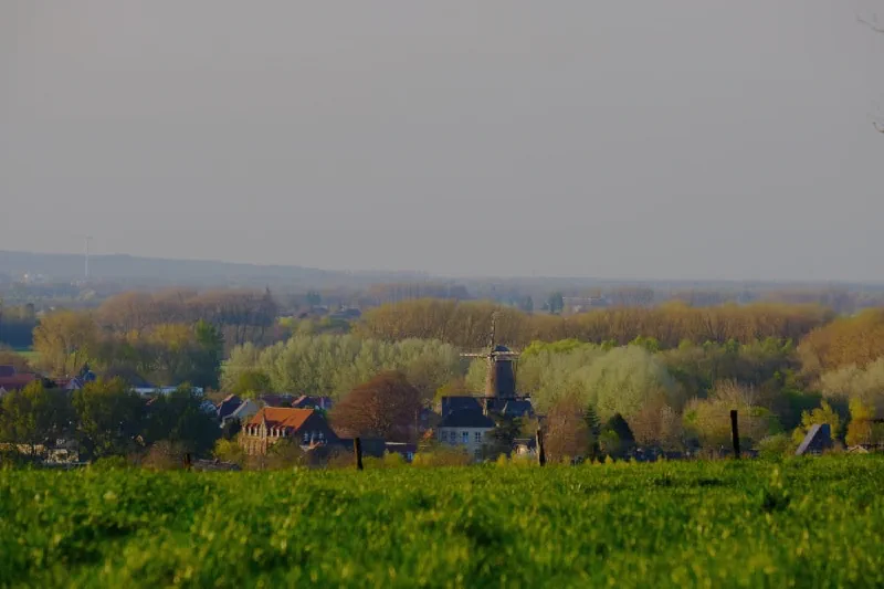 Grüne Wiese mit Zaunpfählen, dahinter zwischen frühlingshaften Bäumen die Dächer von Kalkar und eine Windmühle