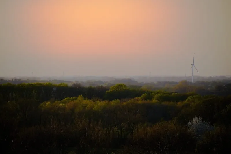 Dunstiger Abendhimmel über dichten Baumkronen, rechts am Horizont ein einzelnes Windrad