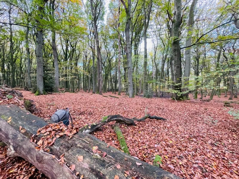 Die Ruhe der Natur