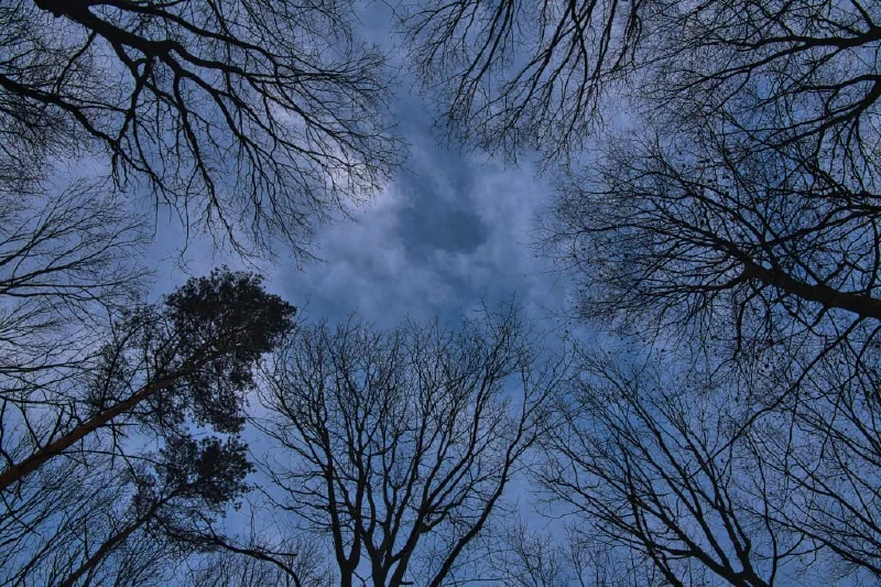 + | Wander dir den Kopf frei! Wanderbericht ausâm Uedemer Hochwald.