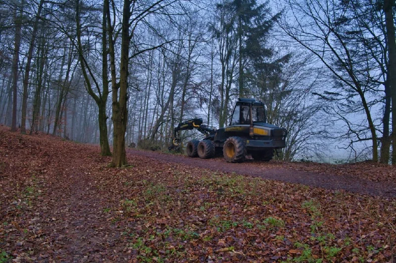 + | Wander dir den Kopf frei! Wanderbericht ausâm Uedemer Hochwald.