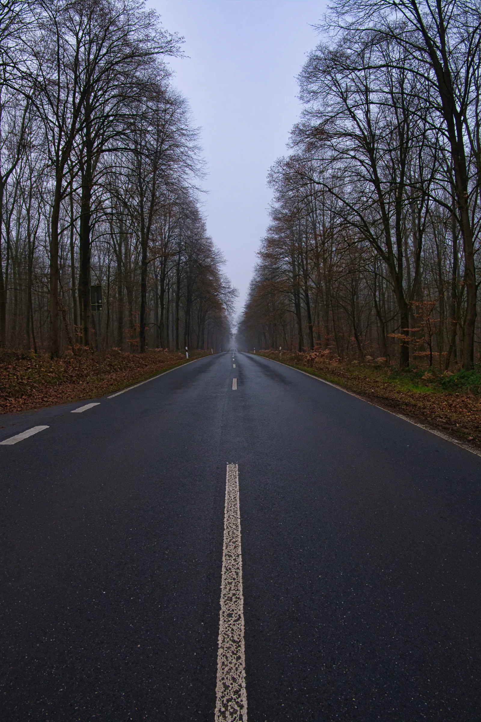 + | Wander dir den Kopf frei! Wanderbericht ausâm Uedemer Hochwald.