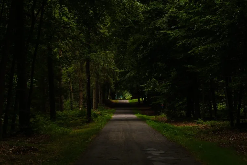 + | Wander dir den Kopf frei! Wanderbericht ausâm Uedemer Hochwald.