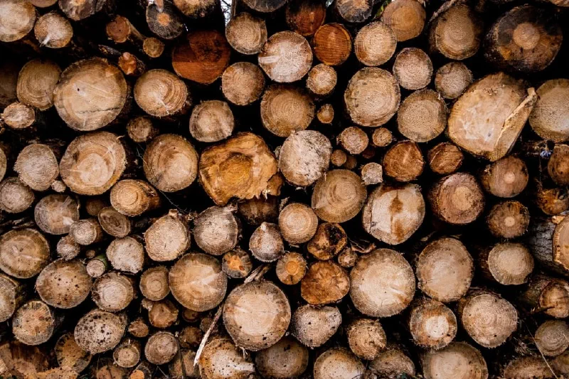 + | Wander dir den Kopf frei! Wanderbericht ausâm Uedemer Hochwald.