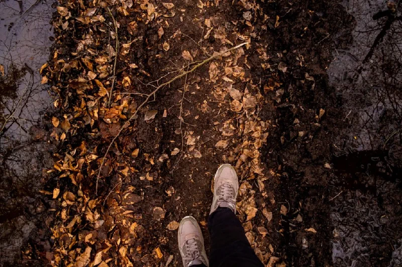 + | Wander dir den Kopf frei! Wanderbericht ausâm Uedemer Hochwald.