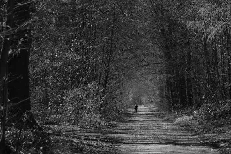 + | Wander dir den Kopf frei! Wanderbericht ausâm Uedemer Hochwald.