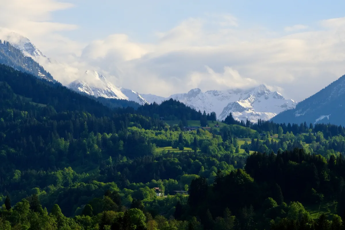 Bergpanorama mit schneebedeckten Gipfeln über bewaldeten Hängen, Wolken hängen in den Graten