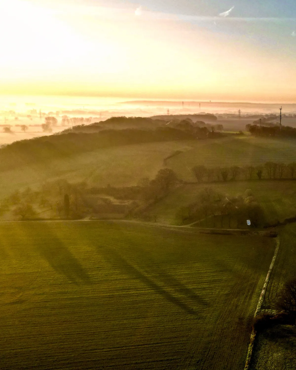 Luftaufnahme einer Anhöhe im goldenen Morgendunst, lange Baumschatten fallen über das Feld
