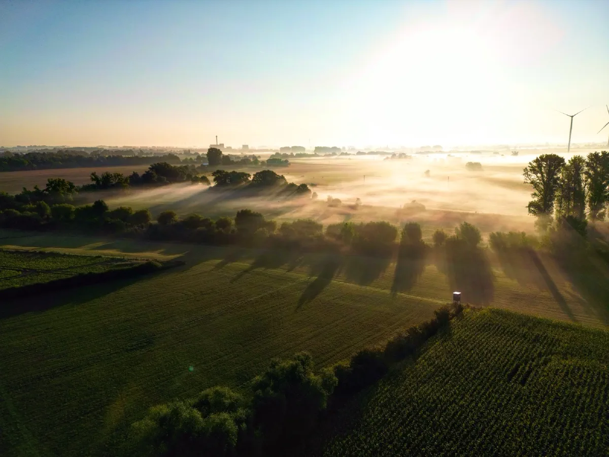 Luftaufnahme über Feldern und Baumgruppen, Nebelbänke und lange Schatten, rechts ein Hochsitz am Feldrand