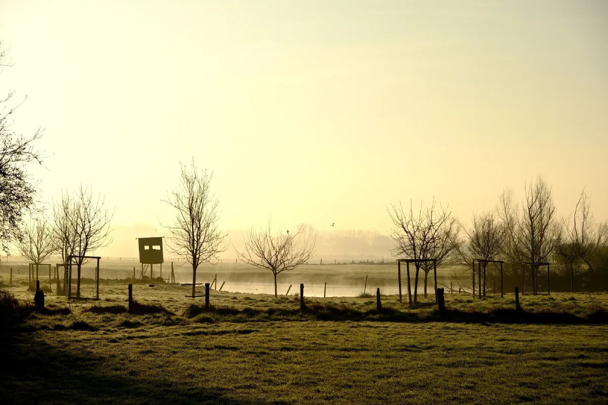 Hochsitz am Ufer eines Gewässers, Raureif auf der Wiese, kahle Bäume im Morgendunst