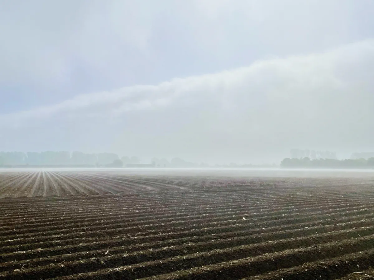 Frisch gefurchter Acker, dahinter steht eine tief hängende Nebelwand über dem Horizont
