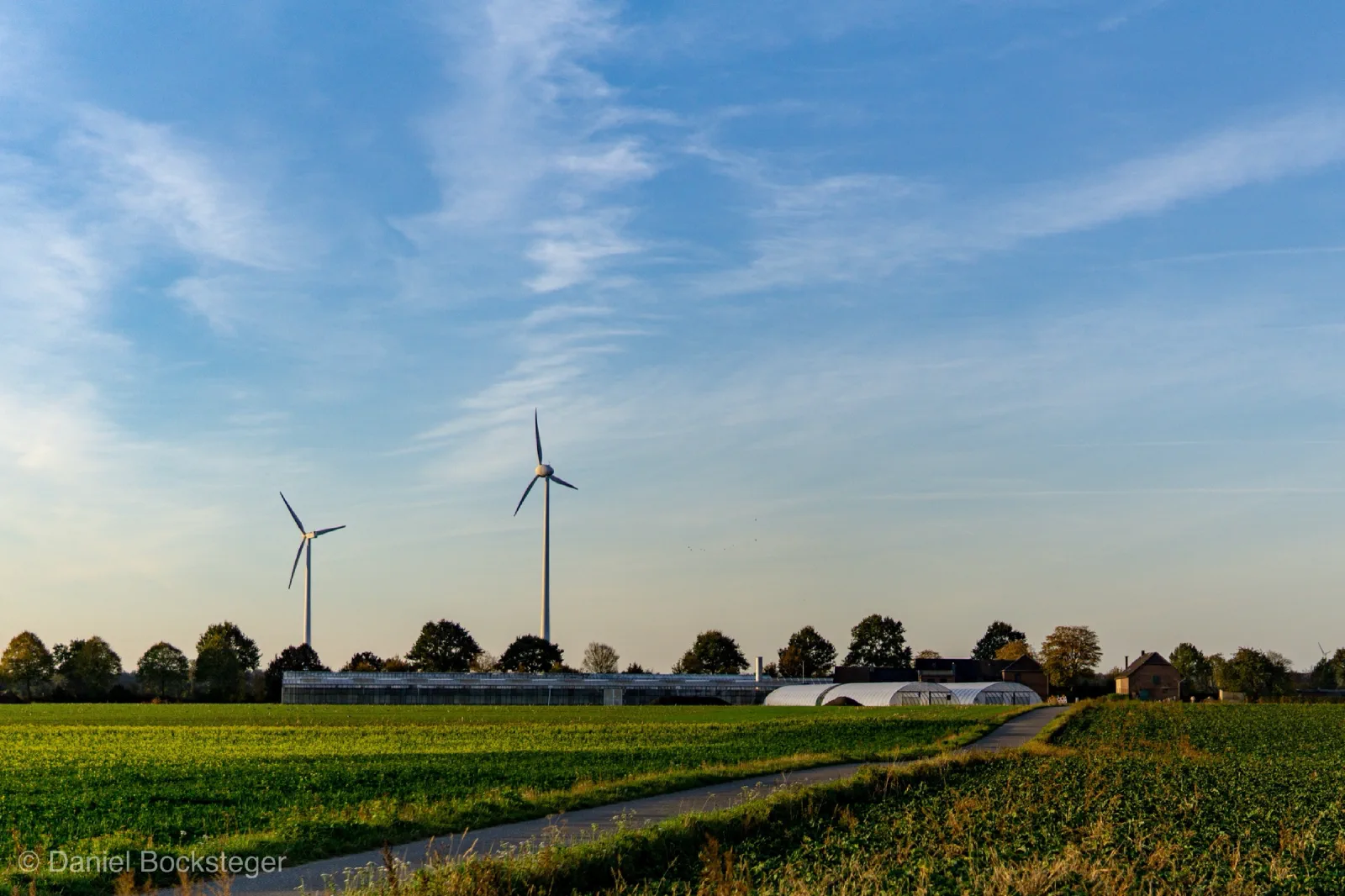 Zwei Windräder über einer Baumreihe, davor ein Feldweg zwischen Äckern und Gewächshäusern