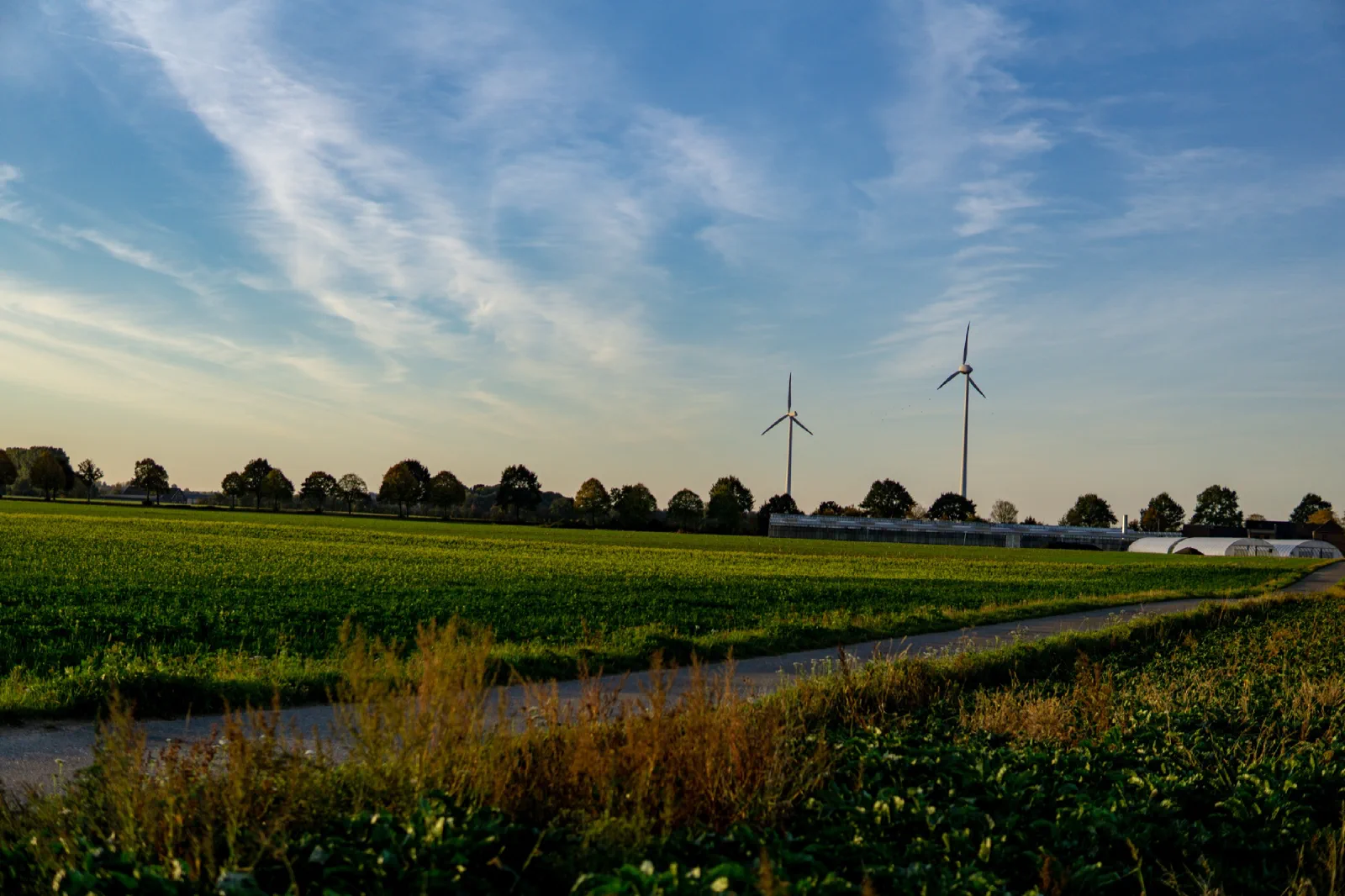 Weites Feld im Abendlicht, zwei Windräder am Horizont, ein Feldweg führt nach rechts