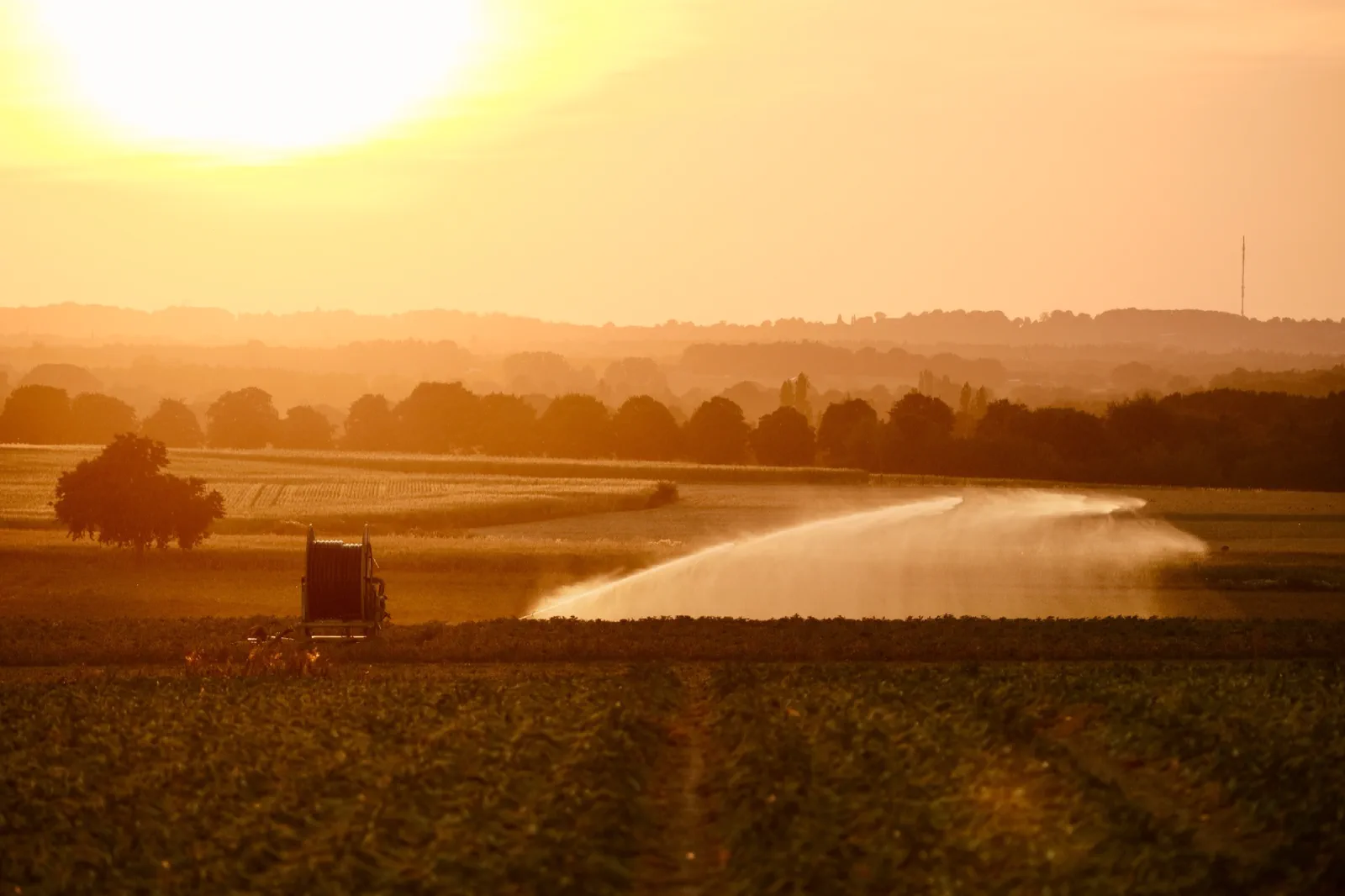 Feldberegnung im Gegenlicht der tief stehenden Sonne, der Wasserstrahl leuchtet golden über dem Acker