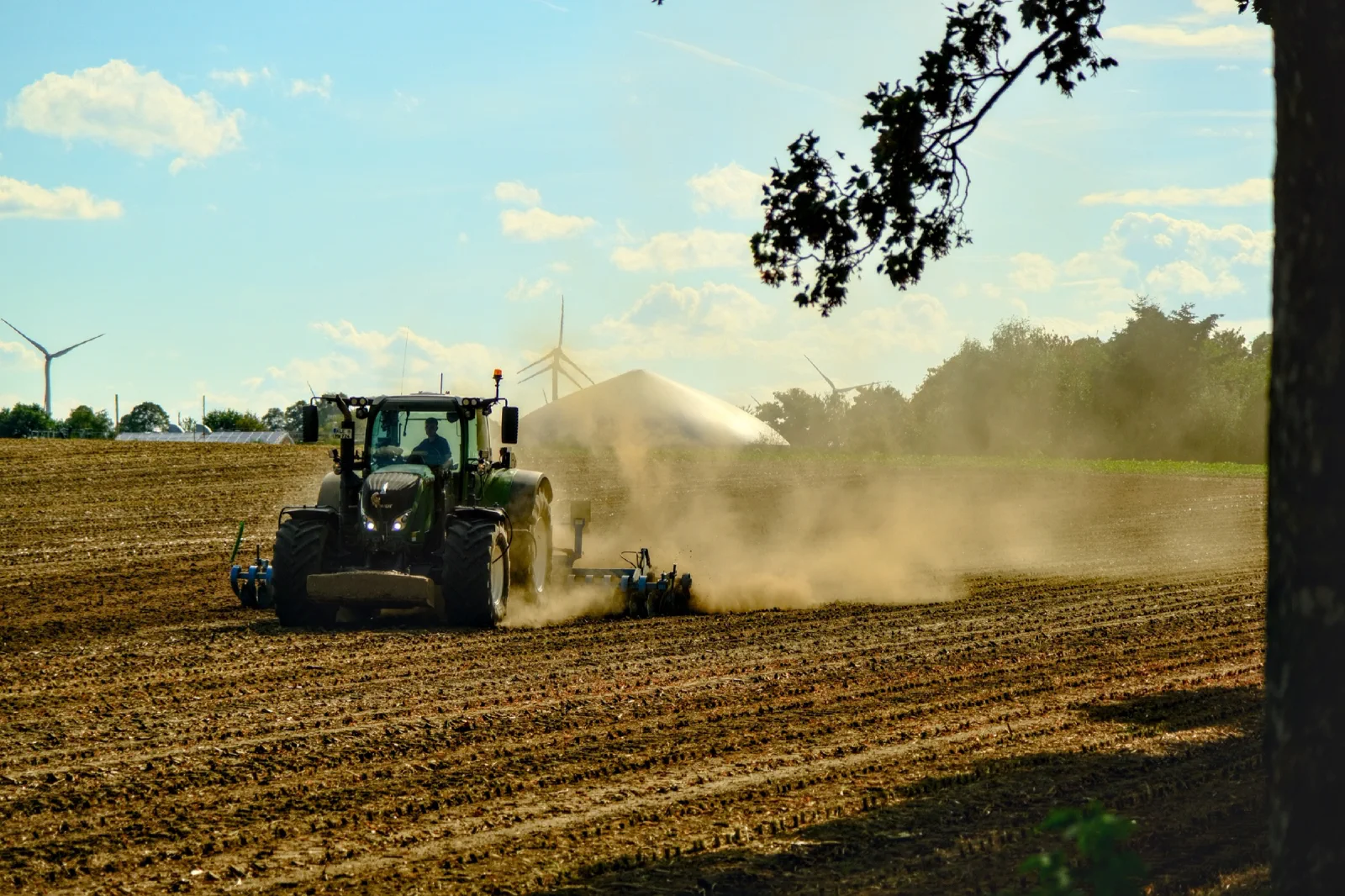 Traktor mit Grubber auf einem abgeernteten Acker, dahinter eine Staubwolke und Windräder