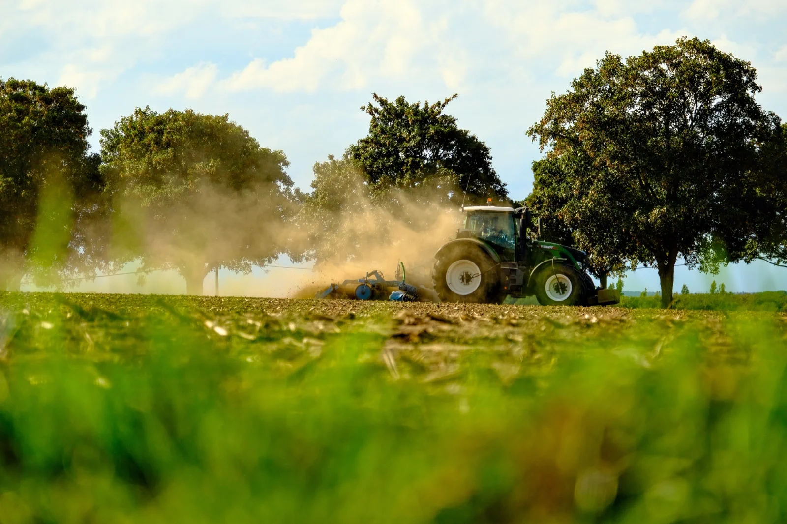 Traktor bei der Bodenbearbeitung, aus Bodenhöhe durch Gräser hindurch fotografiert, Staub steht zwischen den Bäumen