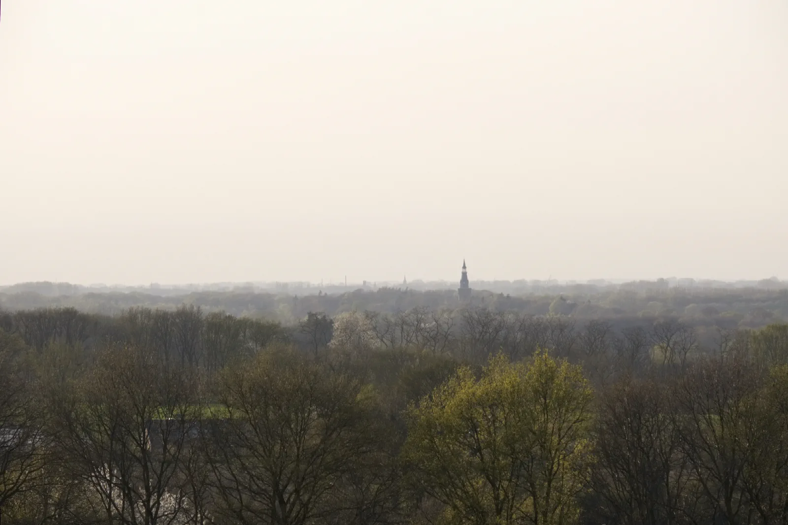 Diesiger Blick über Baumwipfel, in der Ferne ein Kirchturm im hellen Dunst