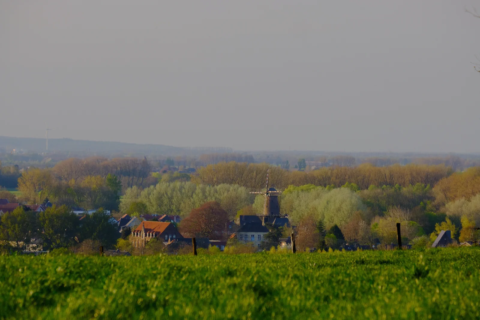 Blick über ein Dorf mit Windmühle und Backsteinhäusern, davor eine Wiese, ringsum Frühlingsgrün